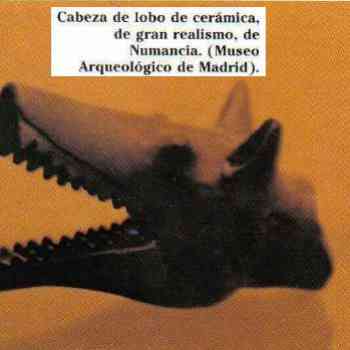 Click para ampliar. Pulsa en el nombre para ver la ficha. Cabeza de lobo de Numancia